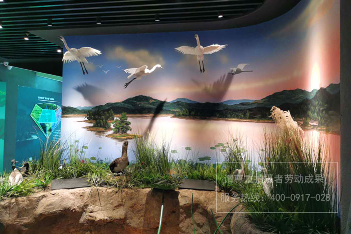 三江湖国家湿地公园宣教中心墙面宣绒布UV喷印制作安装