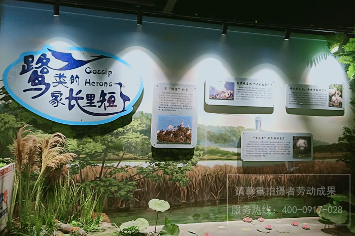 三江湖国家湿地公园宣教中心项目案例
